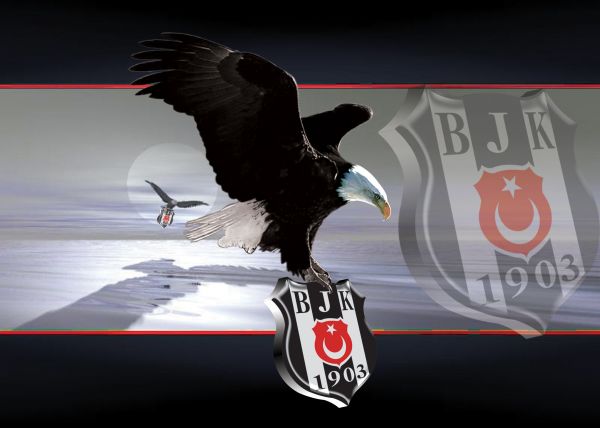 BJK Resimleri 1211899654karakartal20(10)