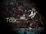 ---Rogo_Zv-----moji radovi------ 10_z-tosic