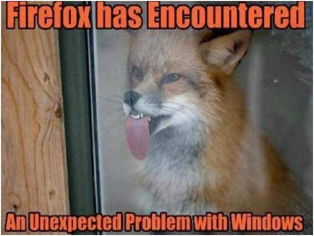 De nuevo el nuevo topic de las polleces encontradas por ahí - Página 3 Animals-fox-browsers-geek-197502