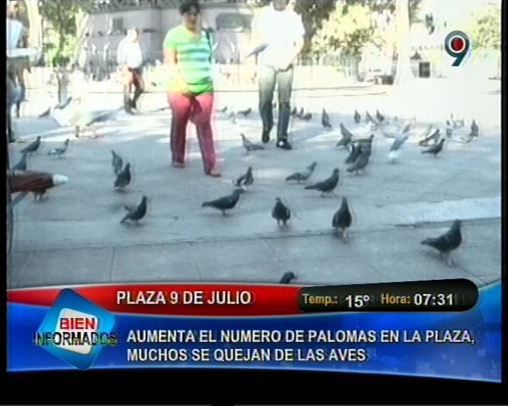 Las Palomas Dominaran El Mundo 14561578fefbd15bb1d1ba381c411f1e510111ee