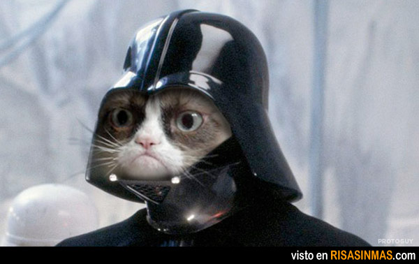 ¡ Feliz Cumple P0L1LL4! Gato-cabreado-darth-vader-1-