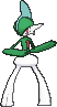 Pokéanálises  Gallade_XY