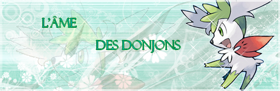 [Partenariat] L'âme des Donjons V2-logo-1242dbd