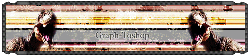Graph-Toshop Sans-titre-1-copie-f6059