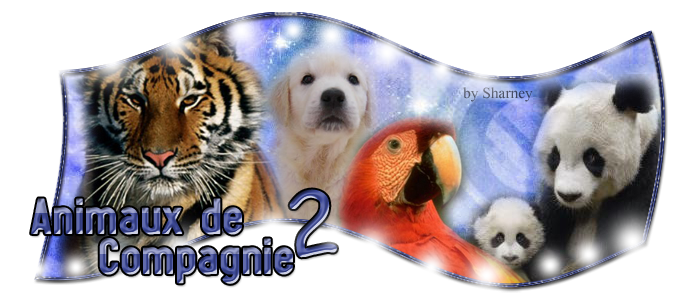 Animaux De  Compagnie 2 ( 25 membres ) 090708122059681413-10d4760