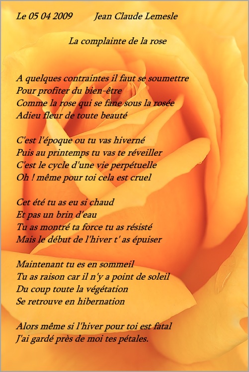 la complainte de la rose poeme de jcl La-complainte-de-la-rose-1178d3e