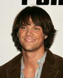 JARED - archiv 2 - Strnka 3 Th_32749_PUMA_2004-007_122_479lo