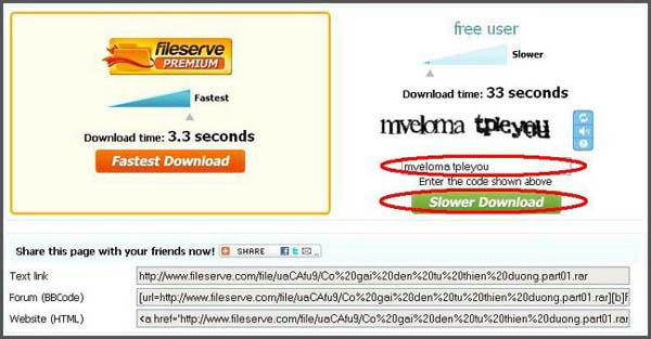 Hướng dẫn download từ fileserve.com 428d06421d2d62f8570cd87bab53c2c255c86a68a3d1628951060bab2b9f79946g