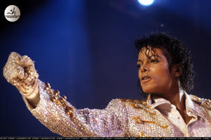 1984 VICTORY TOUR  Th_754207227_7030096789_e5c5a60446_b_122_936lo