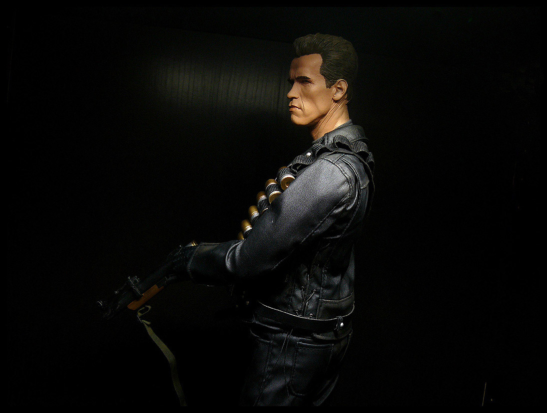 TERMINATOR 2: T-800 Premium format - Page 3 P1020993-fc2083