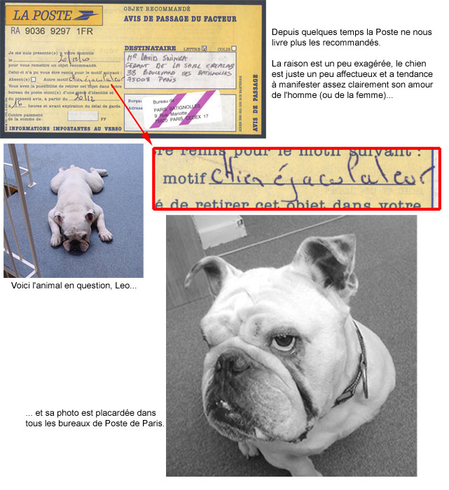 Les images ou photos comiques Chien-ejaculateur-1075c39