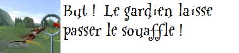 Entraînement au Quidditch : Les premiers pas Rate-son-arr-t-140c01f