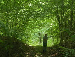 Eperon barré de Fontoy Th_32729_DSCN0086_122_194lo