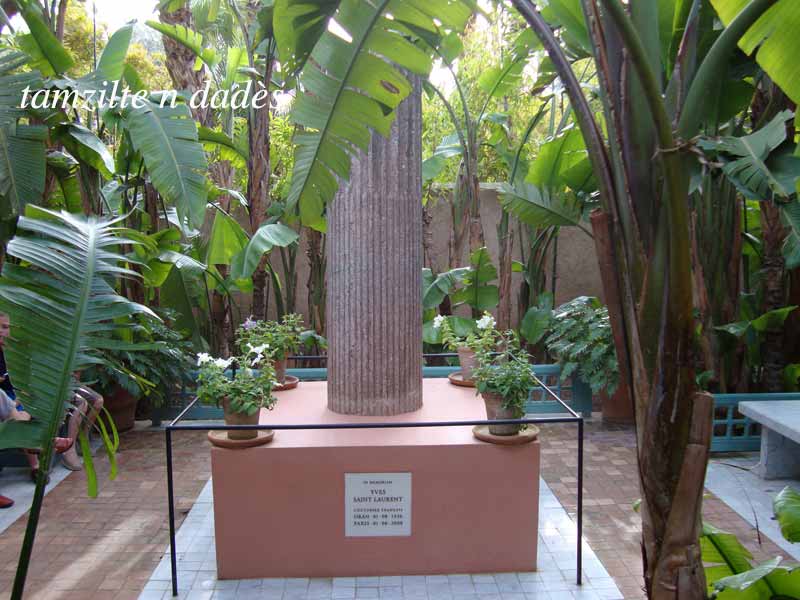 Jardin Majorelle : un éden à Marrakech Jardin12-197348b