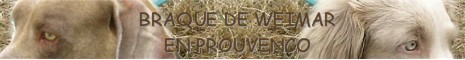 Bonjour du Sud-Est Bani-re-bw-en-proven-o-pr-pl-14ced04