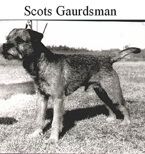 quelques BT marquants des 50 dernières années Scotsguardsman-387f29