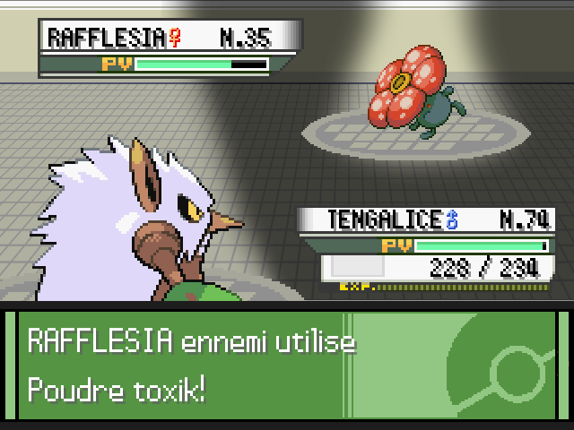 ** POKEMON GEMME ** 35-19fc927