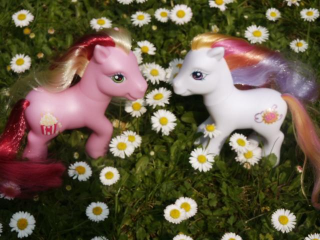 Notre collection - Page 6 Poney-kinder-001-d71810