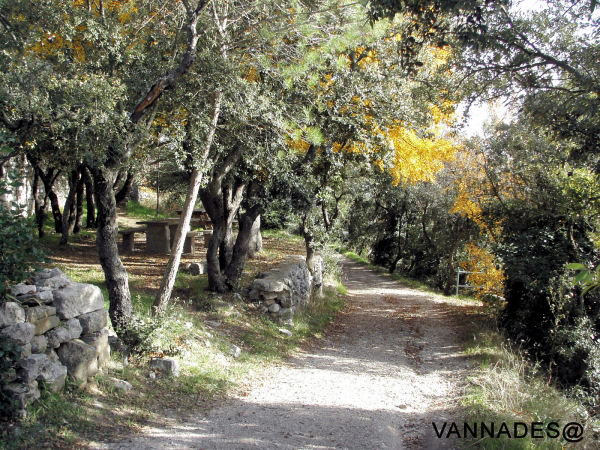 L' Hermitage St Jean du Puy ( Var ) en Automne 12-157bbe8