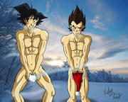 Club de Dragon Ball Z Th_91123_VegetaxGoku115_123_497lo