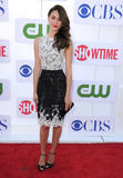 Emmy Rossum  Th_32076_EmmyRossum_cbs_showtime_cw_party_016_122_599lo