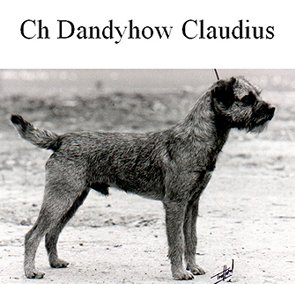 quelques BT marquants des 50 dernières années Dandyhow-claudius-387eb2