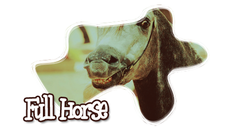 Full Horse v2 Welcome-17b6b8f