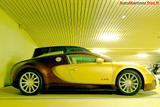 Bugatti Th_68641_DSC_2196_01P7_122_183lo