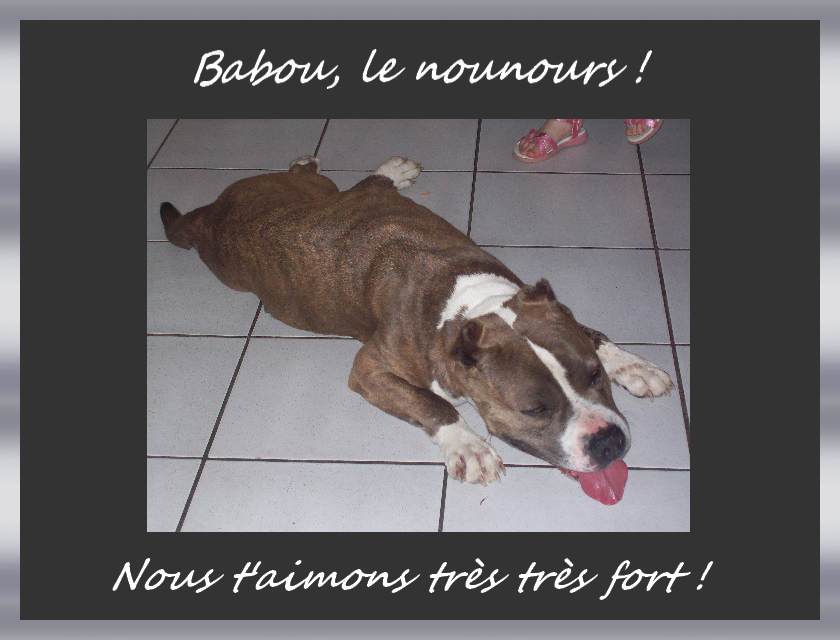 la famille de Babou Babou-10241b1