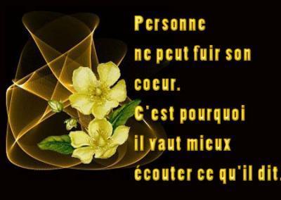 PROVERBES ET CITATIONS Citation53fx9-358367