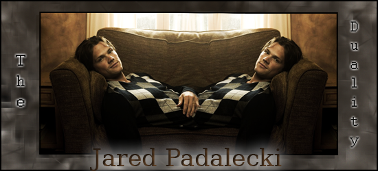 Vote Muli-duel 54 : Jared Padalecki Jaredsign-copie-3f2b3d