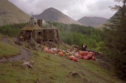 La cabane d'hagrid