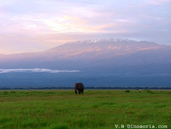 Montagnes et failles - Kilimandjaro-d-4-1f5be75