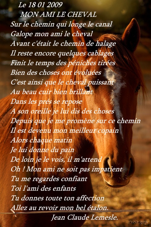 mon ami le cheval poeme de jcl Mon-ami-le-cheval-1179a25