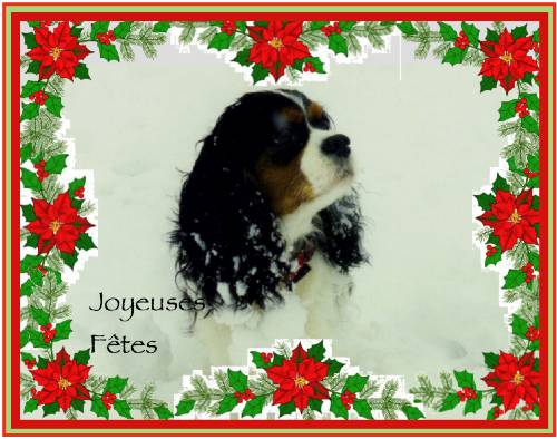 Joyeuses Fêtes à tous Sansnom_2400344-16b3d87