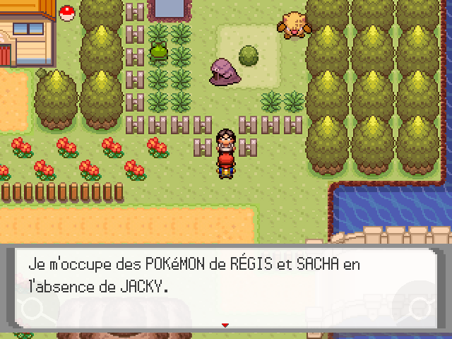 ** POKEMON GEMME ** 48-19fc9aa