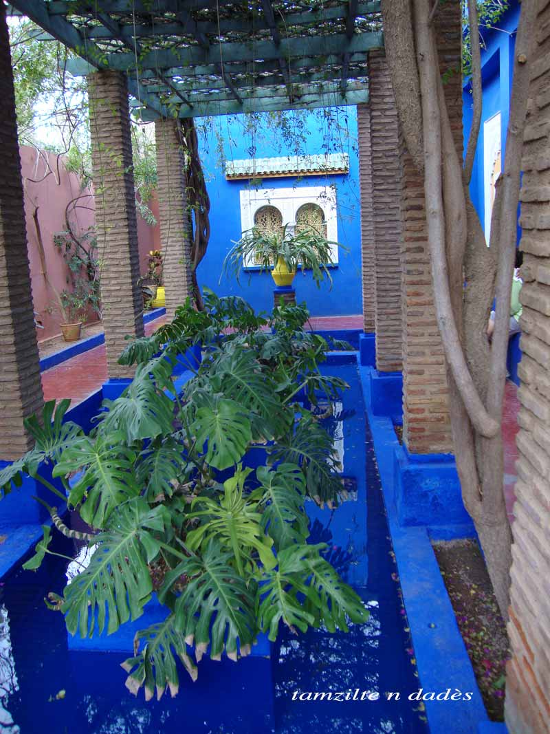Jardin Majorelle : un éden à Marrakech Jardin7-1973422