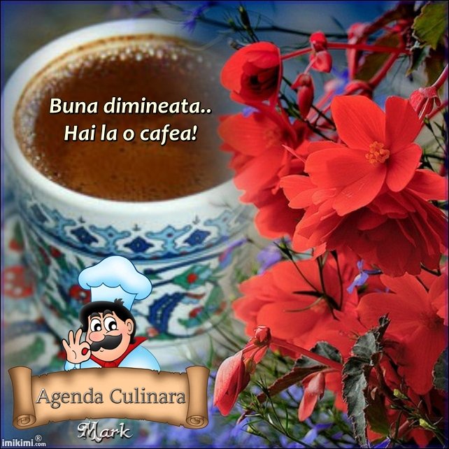 CAFEAUA DE DIMINEAȚĂ - Pagina 6 R1vc46jqaf8