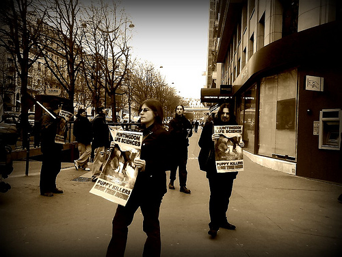 Manif Anti Vivisection - 27/02/09 - Paris Dsc02829bis-bd36d6