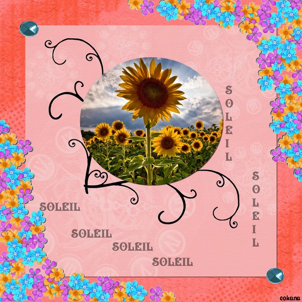 la galerie de COKANA - Page 3 Primavera-soleil-be7091