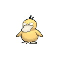 Seres vivos y su representación en el mundo Pokémon Psyduck_XY