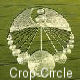 Les Crop Circles et Autres liens apparentés
