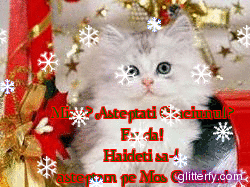 ♥ღStefy Photo's Galeryღ♥ - Pagina 20 Glitterfy1093413647D30