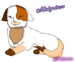 Custom Pictures of your Warriorcats! Glitterfy9175242984D32