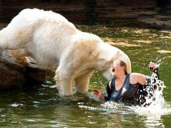 Bahtsız kadına havuzda kutup ayısı saldırdı! Kutupayisi-kadin