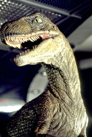 Spoilers: ¿De qué especies tiene ADN el I-Rex? - Página 5 Jurassic-park-raptor