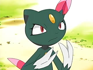 [Ficha] ~ Sneasel. EP462_Sneasel