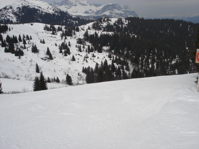 Coq / Megève Jaillet Dsc03793-685ebb