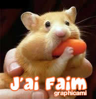 expressions pour dire  J AI FAIM Hamster-affame-5d6760