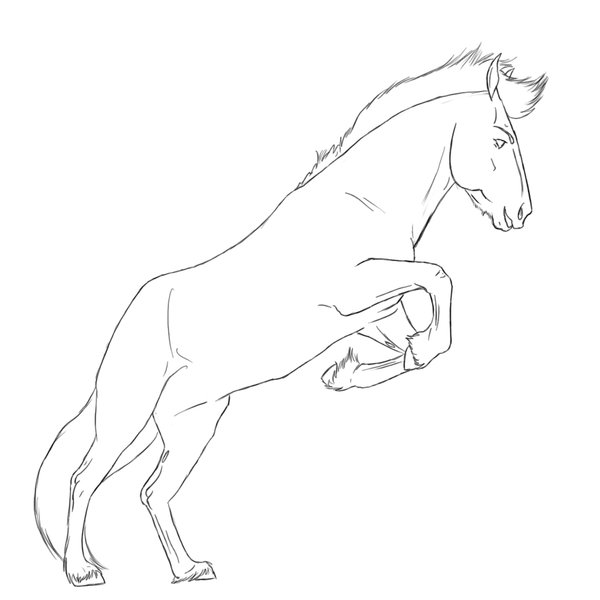 Lineart pour votre cheval Leaping_horse_by_paintedjewel-ea0029